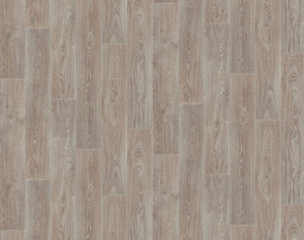 [200111122_2] Taralay Impression Compact - 0519 Noma Beige